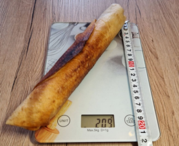 Mexican fried taquitos